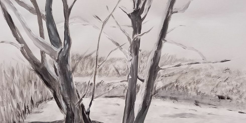 Ein mehrstämmiger großer Baum steht am Ufer der Wuhle, im Hintergrund ist Schilf zu erkennen. Das Bild besteht auf fast schwarzweissen Farbtönen