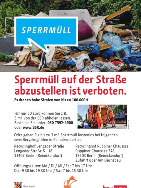 Bildvergrößerung: Flyer