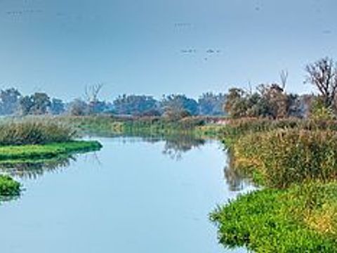 Paddeln im Natur- und Sternepark Westhavelland