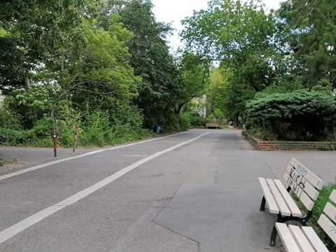 Voll asphaltierte Straße für Fußgänger mit markiertem RAdweg, Bänke, Grün