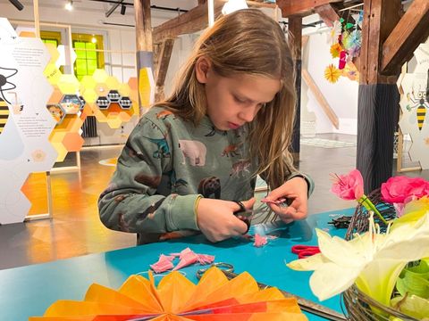 Bildvergrößerung: Eine Kind schneidet eine Blüte aus rosa Seidenpapier. Im Hintergrund ist eine Ausstellung mit Bienen zu sehen.