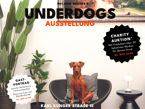 Bildvergrößerung: FOTOAUSSTELLUNG UNDERDOGS