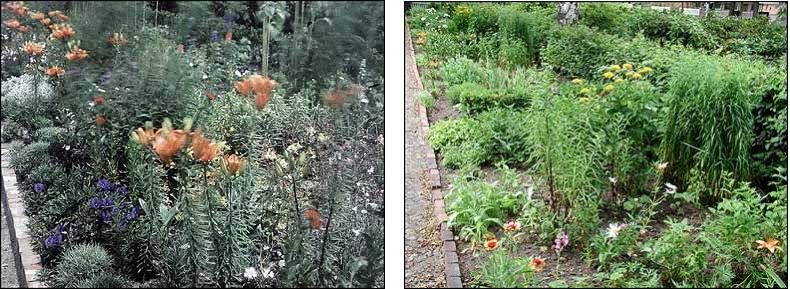 Fotovergleich historisch und heute - Staudenbeete im Biologischen Garten auf dem Karolingerplatz