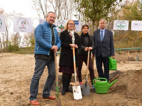 Erste Baumpflanzung an den Kienbergterrassen (v.l.n.r.: Frank Welzel, Projektkoordination der Stiftung NatureLife-International; Katharina Langsch, Geschäftsführerin der IGA Berlin 2017 GmbH; Marina Neher, Projektmanagement der Stiftung NatureLife-International, Günter Landgraf, Präsident des Landesverbandes Berlin der Gartenfreunde e.V.)