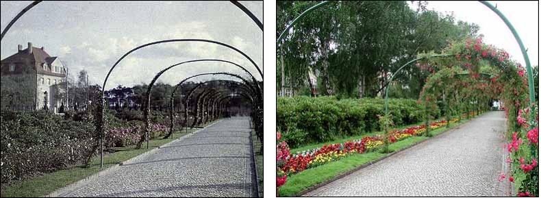 Fotovergleich historisch und heute - Rosenbögen auf dem Karolingerplatz