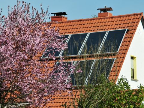 Dach mit Fenstern und blühendem Mandelbaum
