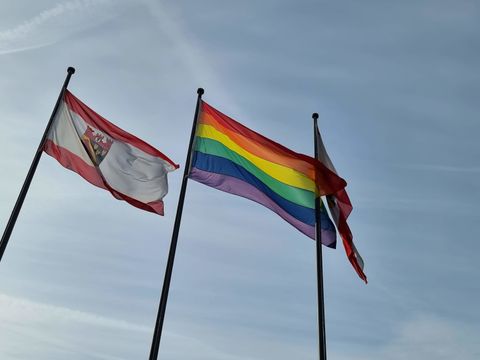 Bildvergrößerung: Reinickendorf hisst Flagge zum Tag der Transsichtbarkeit 