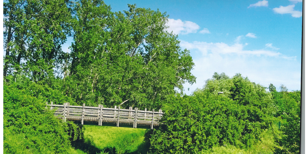 Brücke im Kurt-Julius-Goldstein-Park Marzahn-Hellersdorf