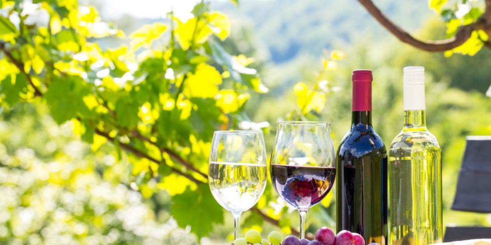Ein Tisch im freien auf dem 2 verschiedene Sorten Wein in 2 Flaschen und in 2 Gläsern stehen, davor 2 Sorten Weintrauben und ein Baguette