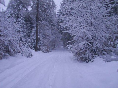 Eine Winterlandschaft