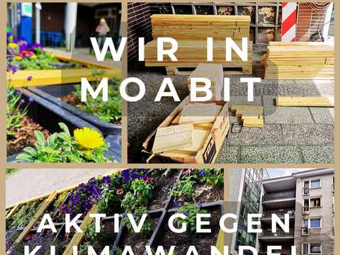 Klimaprojekte im QM Moabit Ost