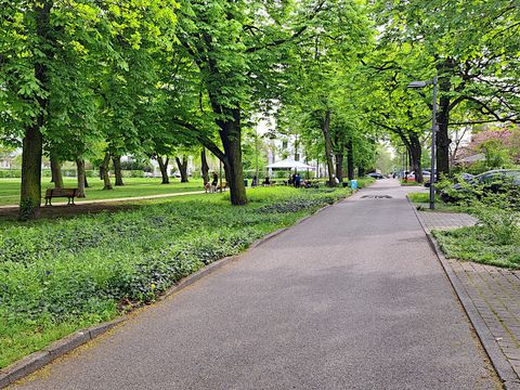 Entwässerung der Straße in die Grünfläche. In den Beeten liegen rigolen im Boden.