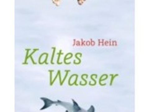 Buchcover Jakob Hein "Kaltes Wasser"