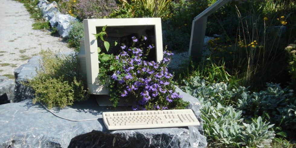 "Blühende Technik" - Pflanzen im Monitor