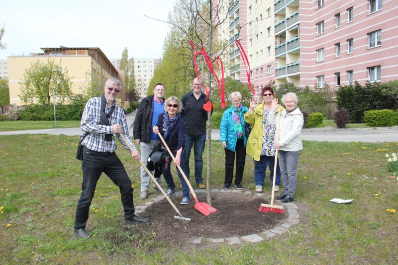 Der Quartiersrat pflanzt einen Baum im Hochzeitsparkt