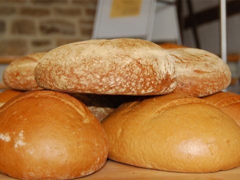 Eine Brot-und Getreideauswahl