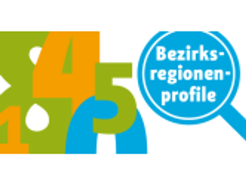 Teaser Bezirksregionenprofil