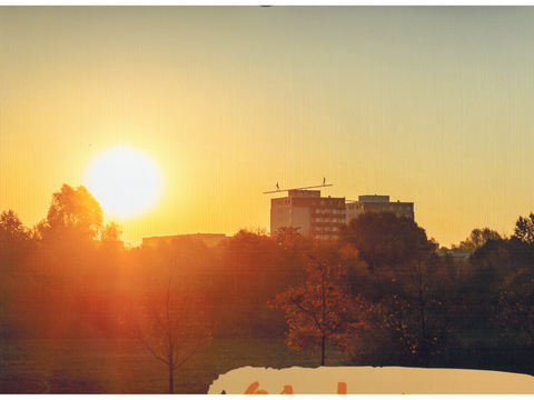 Sonnenaufgang im Treppenfelder Pfad