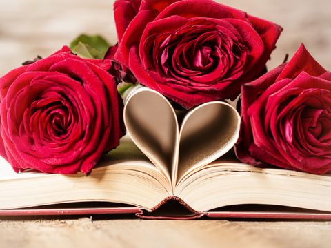 Drei rote Rosen bedecken ein aufgeschlagenes Buch, dessen Seiten ein Herz formen 