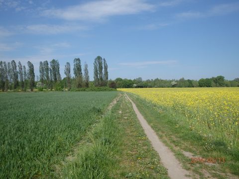 Landwirtschaftsflächen