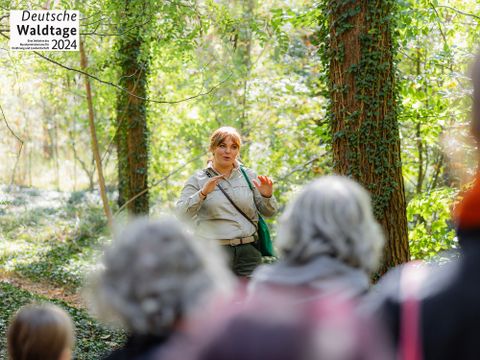 Deutsche Waldtage 2024: Wanderung im Revier Gatow