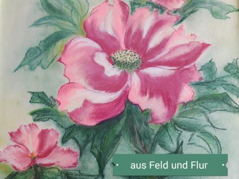 Ausstellung 'Aus Feld und Flur' von Hella Sell