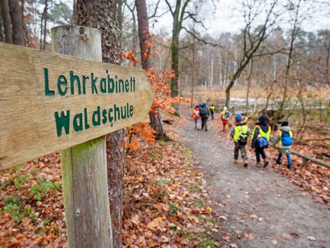 Kinder einer Lichtenberger Schule machen eine Waldexkursion in der Waldschule Teufelssee in Berlin-Müggelheim.