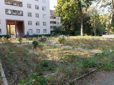 Rosengarten im Fracnckepark