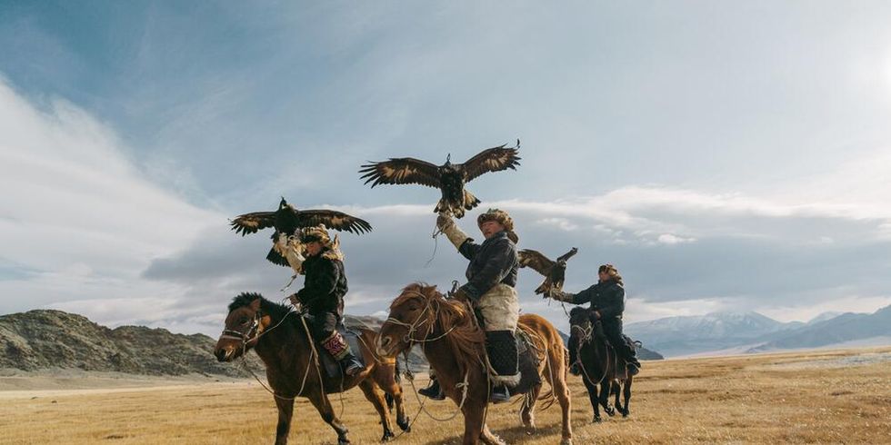 drei Reiter in der Mongolischen Steppe mit Adlern auf dem Arm zur Jagd bereit