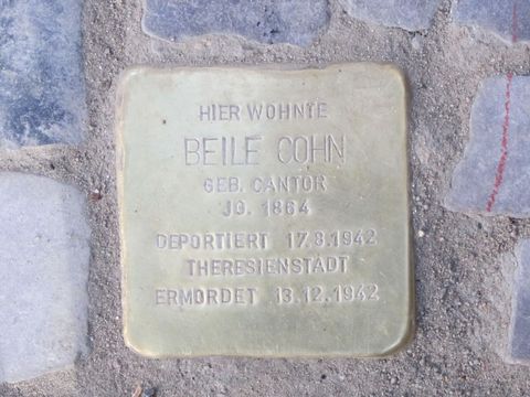 Stolperstein Beile Cohn