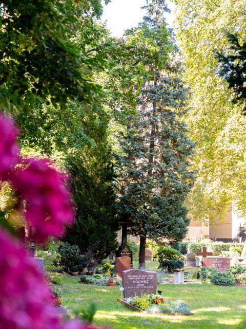 Friedhof mit Gräbern und Bäumen