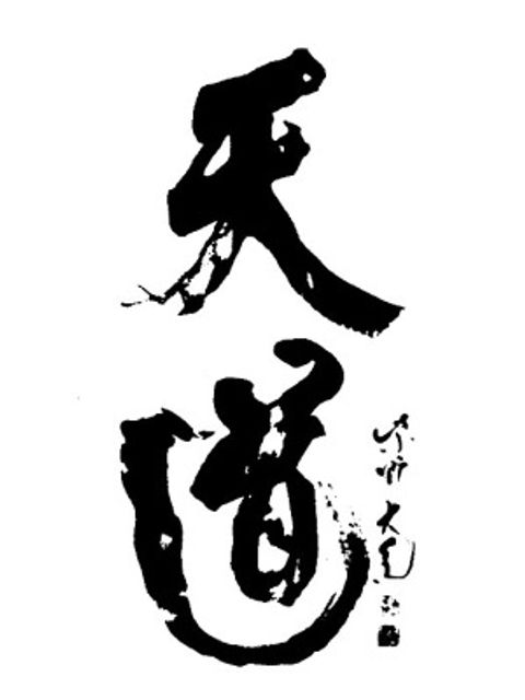 Logo Tendoryu Aikido Berlin e.V.