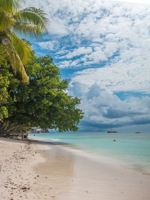 Insel Seychellen Sandstrand