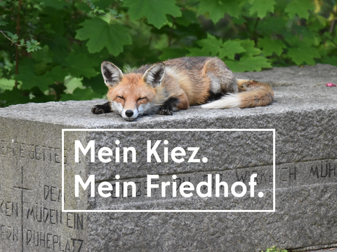 Mein Kiez - Mein Friedhof