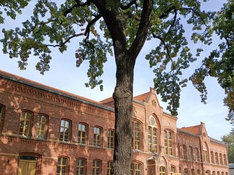 Stadtteilbibliothek Adlershof "Stefan-Heym"