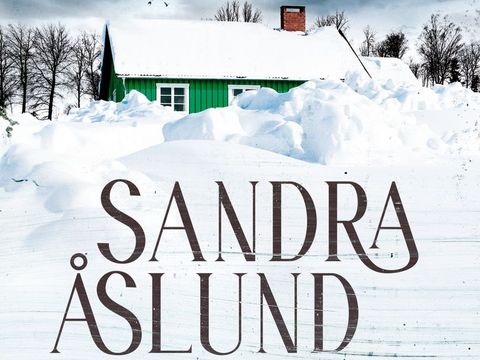 Das Cover des Buches "Im Herzen so kalt" zeigte eine verschneite Lamdschaft mit einem Schwedenhaus in leuchtend Grün.