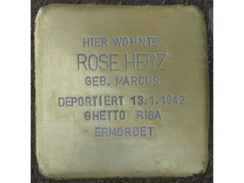 Herz, Rose