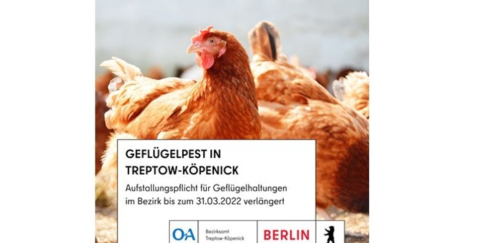 Aufstallungspflicht bis 31.03.2022 verlängert