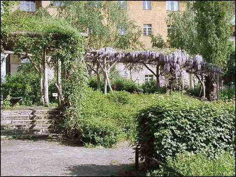 Pergola aus Akazienstämmen