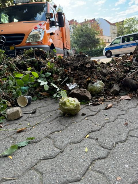 Bildvergrößerung: 1509_schnittmassnahmen-nach-rattenbefall-im-schaeferseepark.jpeg