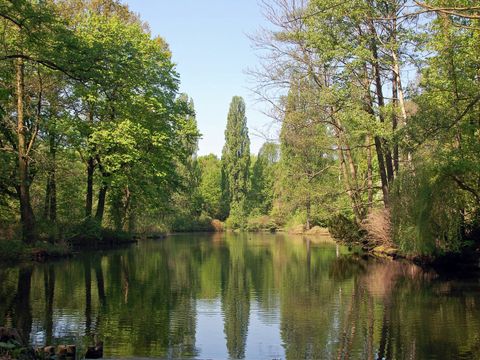 Landschaft am See im Tiergarten