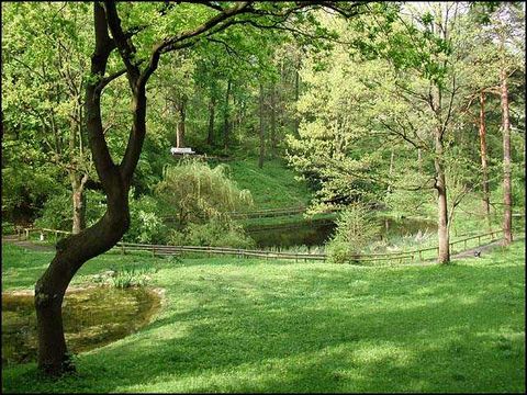 Trockene Wiese mit Blick auf Rundbank unter Ahorn