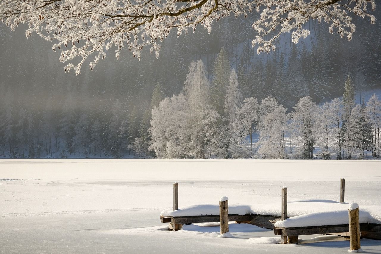 Winterlandschaft mit Schnee am See