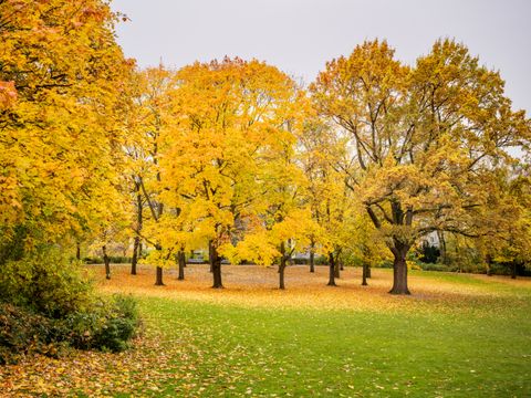 Volkspark Wilmersdorf