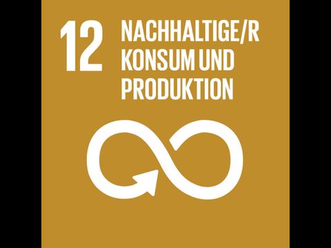 Sustainable Development Goals_icons-EMILIE