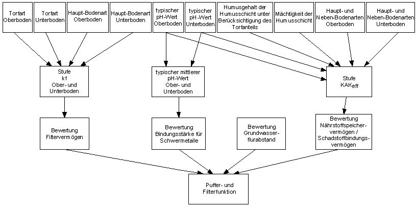 Bildvergrößerung: Abbildung 1 : Schema zur Bewertung der Puffer- und Filterfunktion 