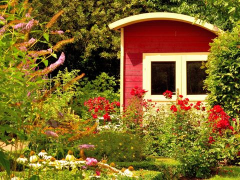 Kleingarten - Viele bunte Blumen und Pflanzen in einem Garten mit kleinem, roten Holzhaus im Hintergrund