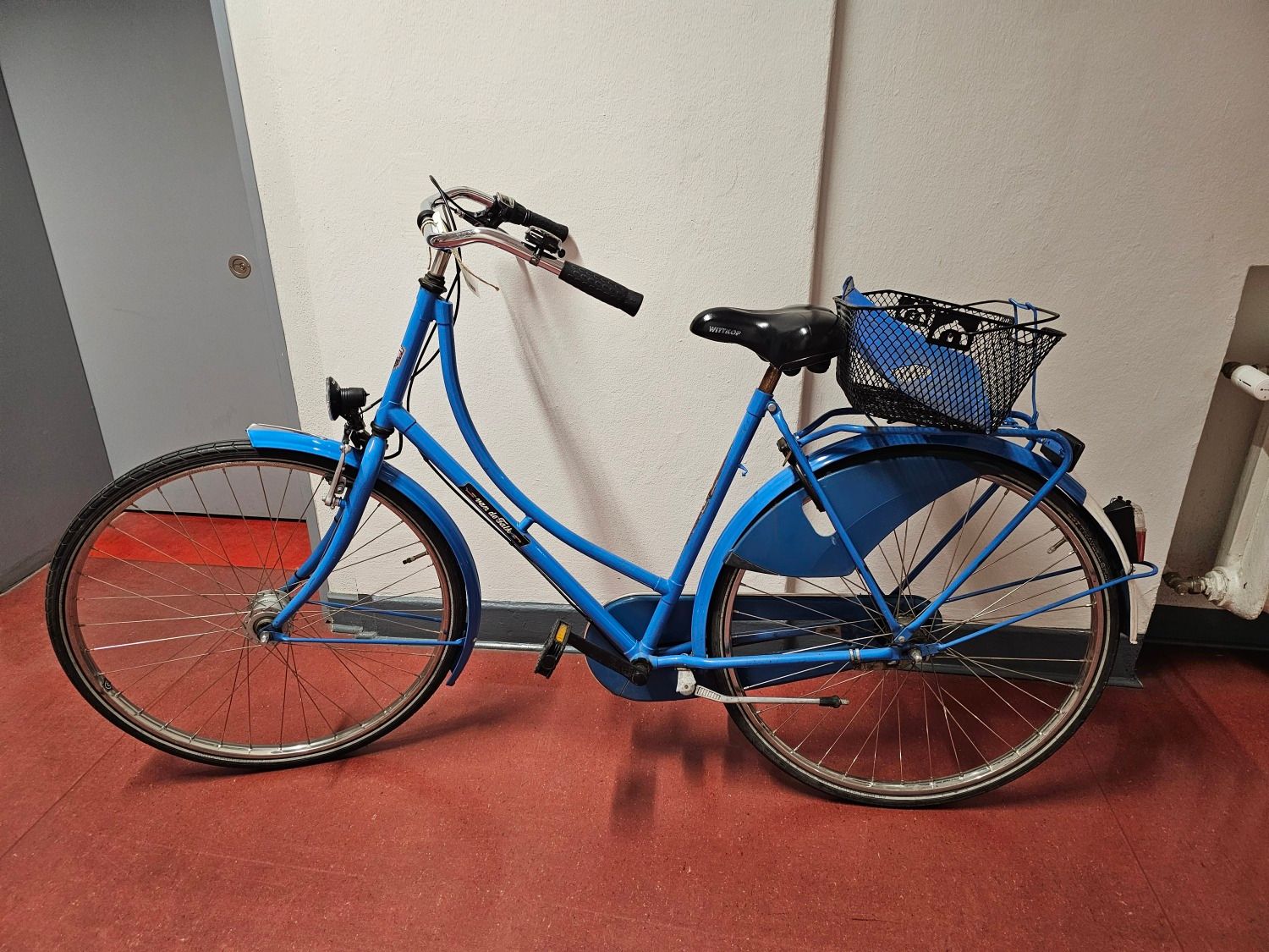 Blaues Damenfahrrad