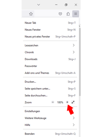 Die Zoom-Funktion des Internet-Browsers.