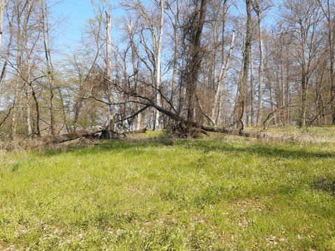 Bildvergrößerung: Landschaftspark Glienicke - Trockenheit bedroht Baumbestand 2021-05